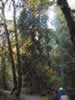 Dans le Goldsteam Park