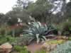 Park fleuri ( les jardiniers sont encore à l'œuvre, à planter, émonder, bêcher …)
